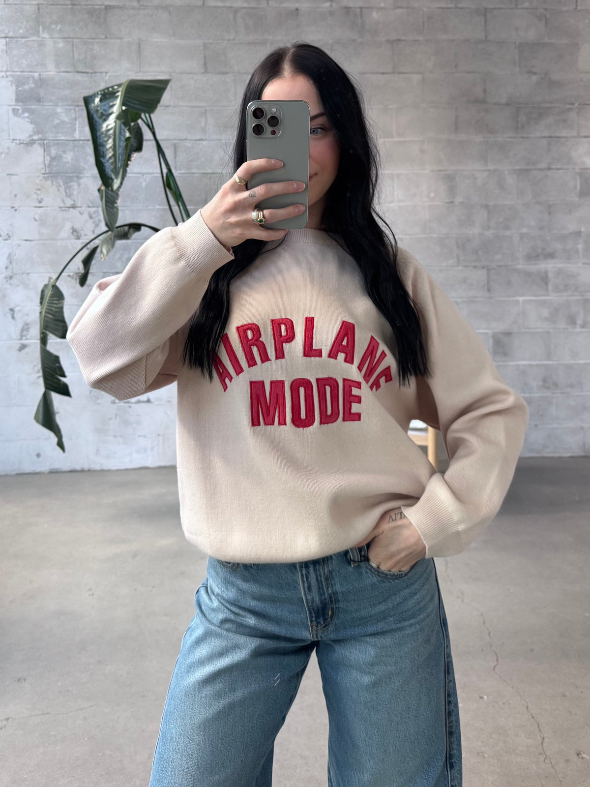 PINK MARTINI Airplane Mode Sweater